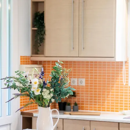 Apartamento Boukamvillia νidri 2