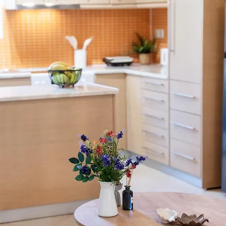 Apartamento Boukamvillia νidri 2